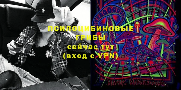 гидра Волоколамск