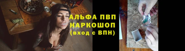 гидра Волоколамск