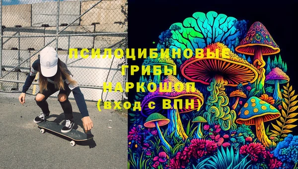 гидра Волоколамск